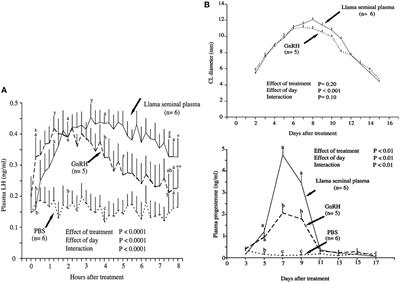 Effect of the Camelid’s Seminal Plasma Ovulation-Inducing Factor/β-NGF: A Kisspeptin Target Hypothesis